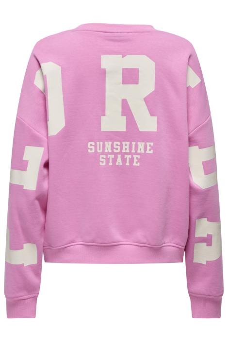 Only onlsweat l/s back/sleeve print swt
